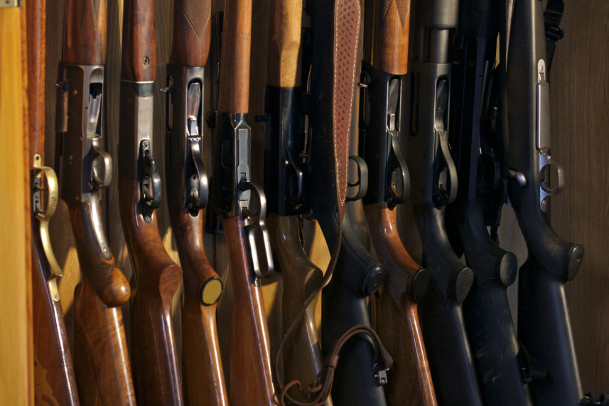 Gun Ownership